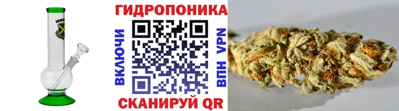 Конопля White Widow  цена наркотик  Юхнов 